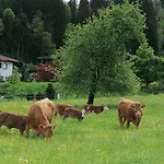 Foidlhof - سانكت يوهان ان تيرو