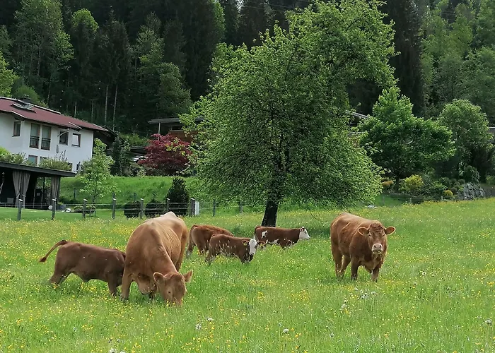 Foidlhof - סנט יוהן אין טירול