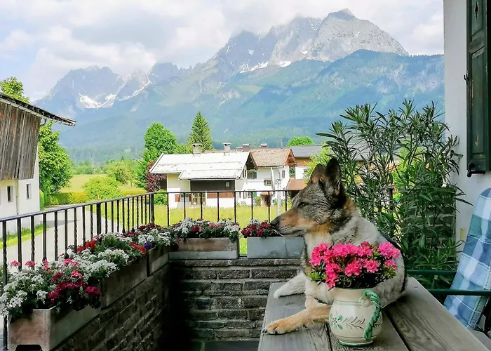 בית חווה Foidlhof - *