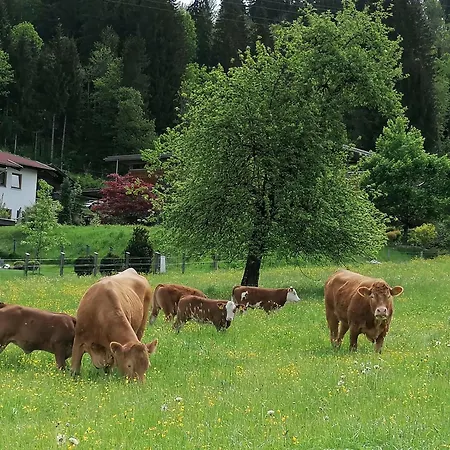 Foidlhof - Sankt Johann in Tirol